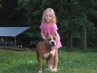 /album/photogallery/angelmaxpupsmiley630-080-jpg/